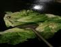 素炒生菜的做法图解3