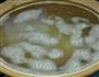 瑶柱沙虫粥的做法图解7