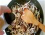 茭白香菇炒肉丝的做法图解10
