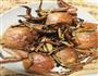 干煎河蟹的做法图解3