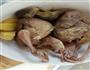 黄芪煲鹌鹑的做法步骤4