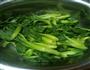 油渣小白菜的做法图解1