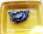 紫菜蛋花蝴蝶面的做法图解1