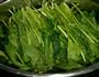 麻酱菠菜-非常补钙的做法图解1