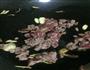 番茄羊肉的做法图解4