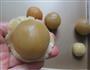 莲蓉蛋黄月饼的做法图解8