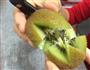 切一枚美丽的猕猴桃教程的做法图解4