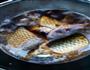 红烧鱼块的做法图解3