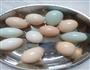 腌咸蛋的做法图解1