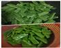 干煸豆角的做法图解3
