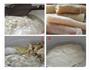 小金鱼山药豆沙年糕的做法图解1