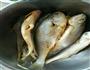 香酥黄鱼的做法图解1