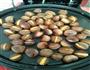 烤栗子的做法图解2