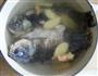 香浓鲫鱼汤的做法图解4