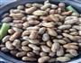 盐水煮花生的做法图解2