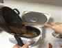 爱吃不上火的马鲛饭的做法图解4