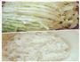 卷心菜粥的做法图解1