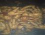 家常版红烧鸡爪的做法图解7