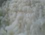 黄金饼的做法图解1