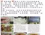 桃胶雪燕美容汤的做法图解4