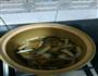 鱼头豆腐煲的做法图解6