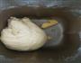 奶油豆沙面包的做法图解4