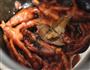 红焖鸡爪的做法图解11