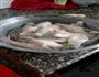 香酥龙头鱼的做法图解1