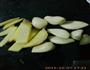 辣椒叶子小咸菜的做法图解7